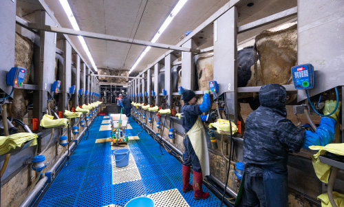 採用情報