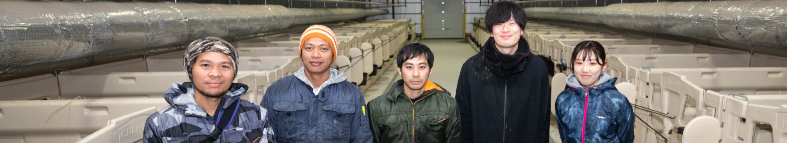 採用情報